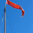Surprise Flag